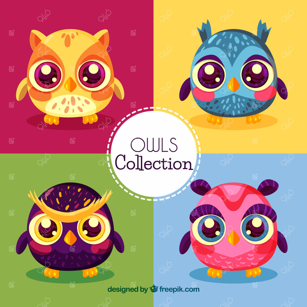 مجموعه چهارتایی جغد