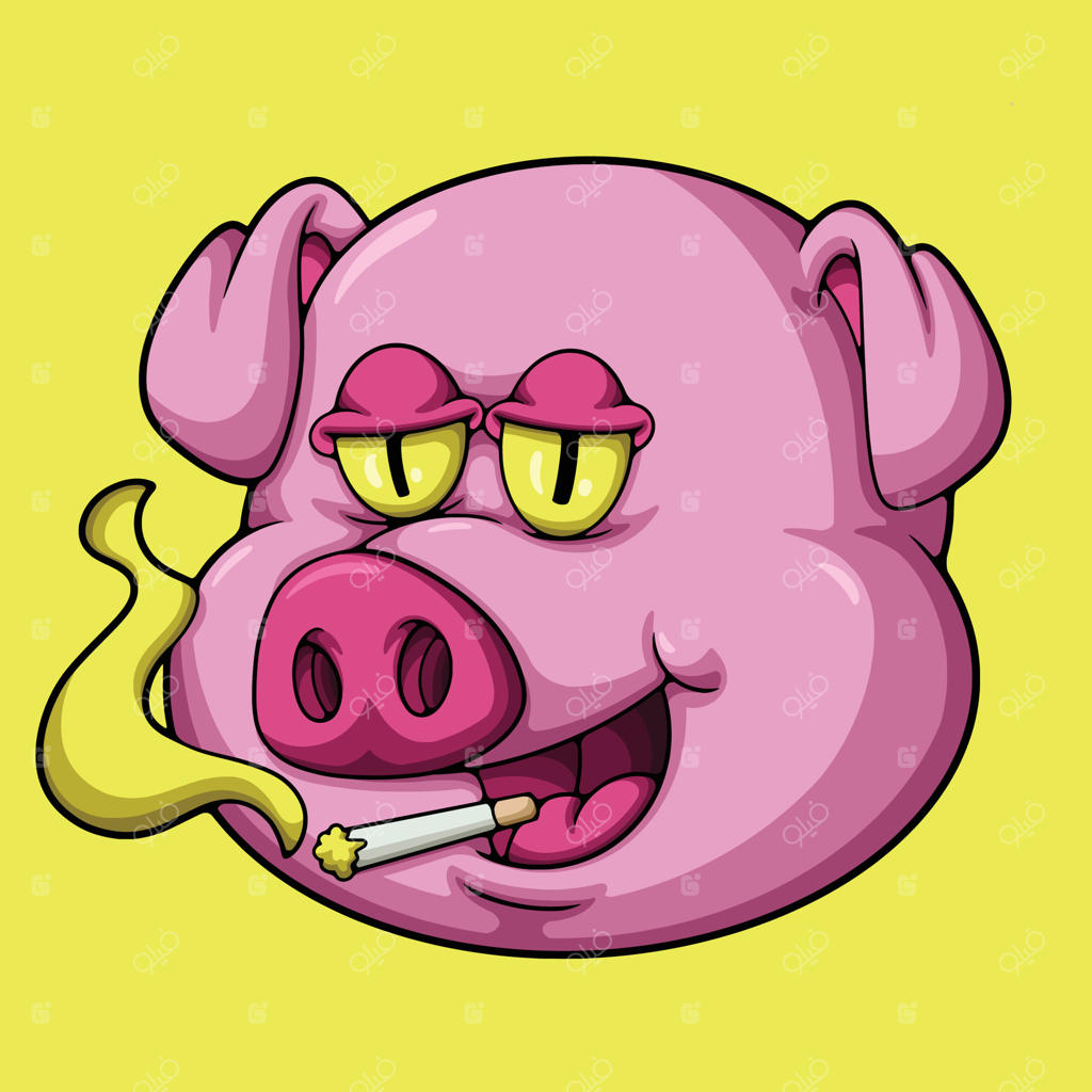 تصویر خوک دودی