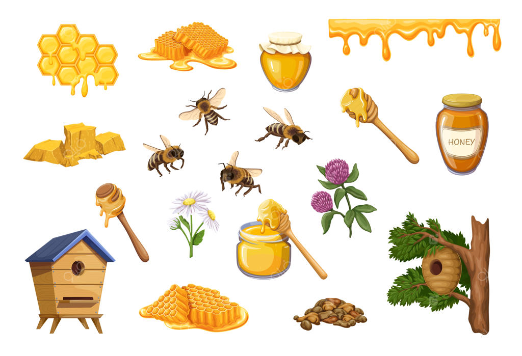 عسل طبیعی: شانه عسل و زنبورهای عسل به همراه شیشه‌ای از عسل ناب