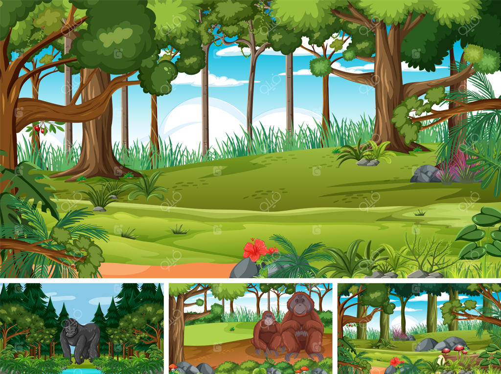 منظره‌ای از حیوانات وحشی در جنگل