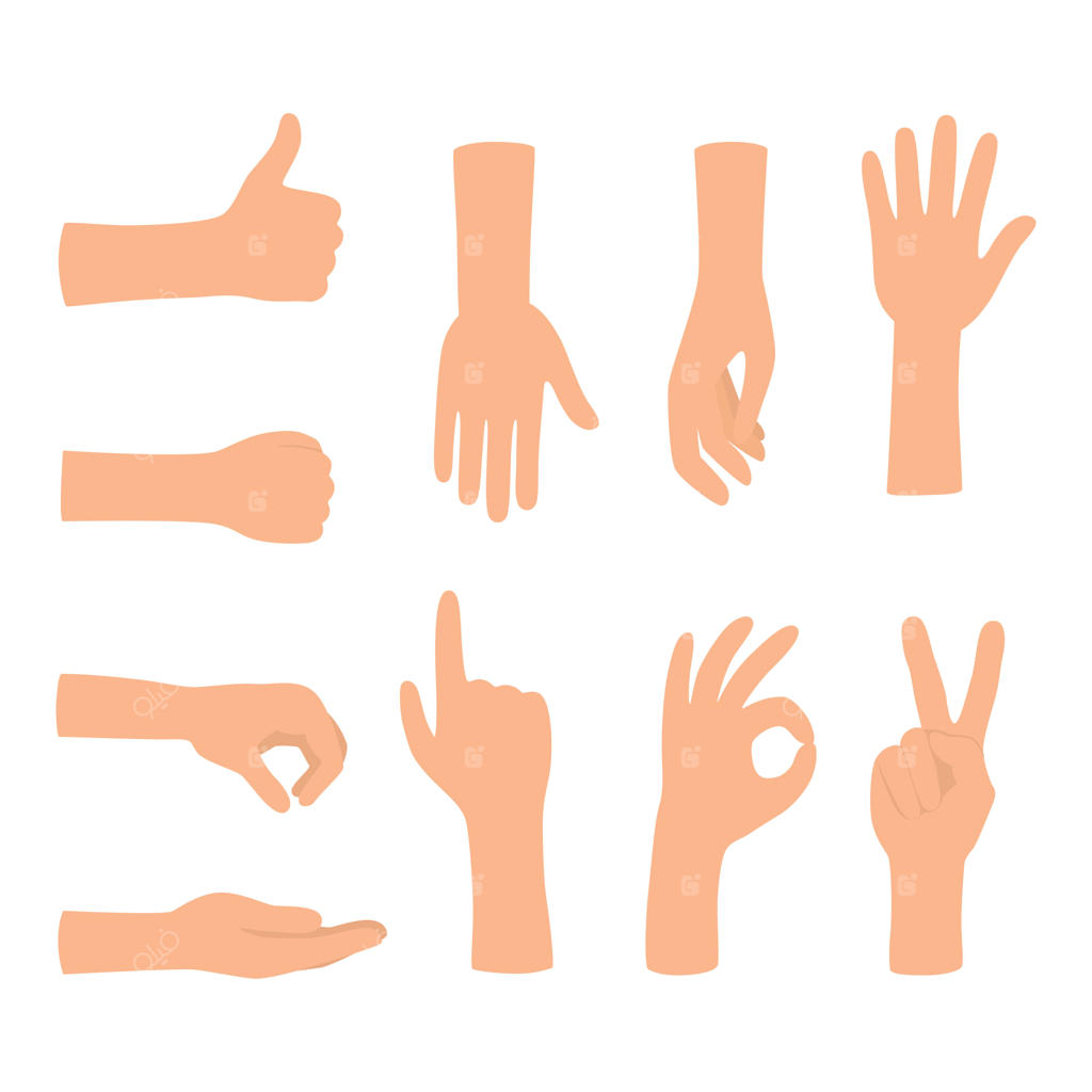 ژست‌های دست در پس‌زمینه سفید. مجموعه ژست‌های رنگی دست