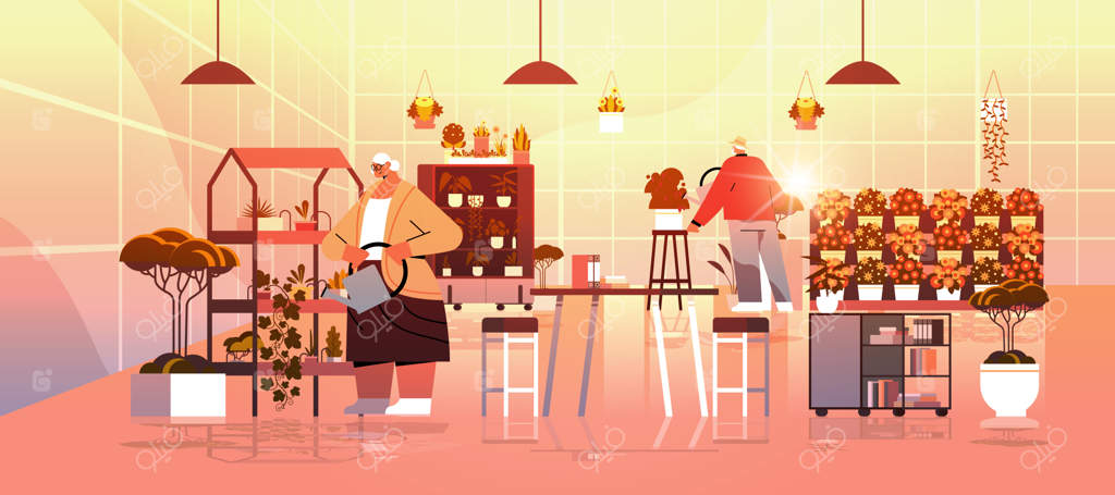 زوج سالخورده باغبان در حال مراقبت از گیاهان و گل‌های گلدانی در گلخانه خانگی – تصویر افقی کامل