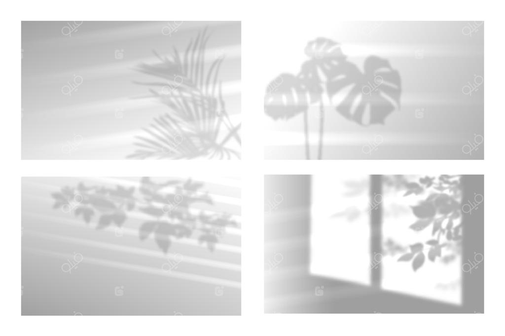 مجموعه‌ای از سایه‌های سیاه و سفید برگ‌ها بر روی دیوار