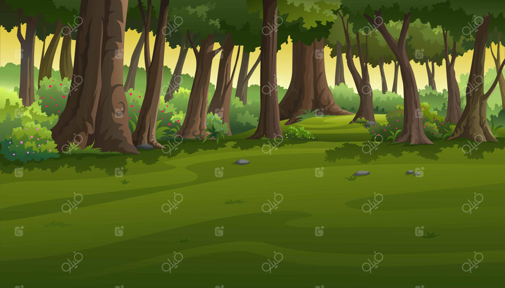 نمایی از جنگل در غروب آفتاب.