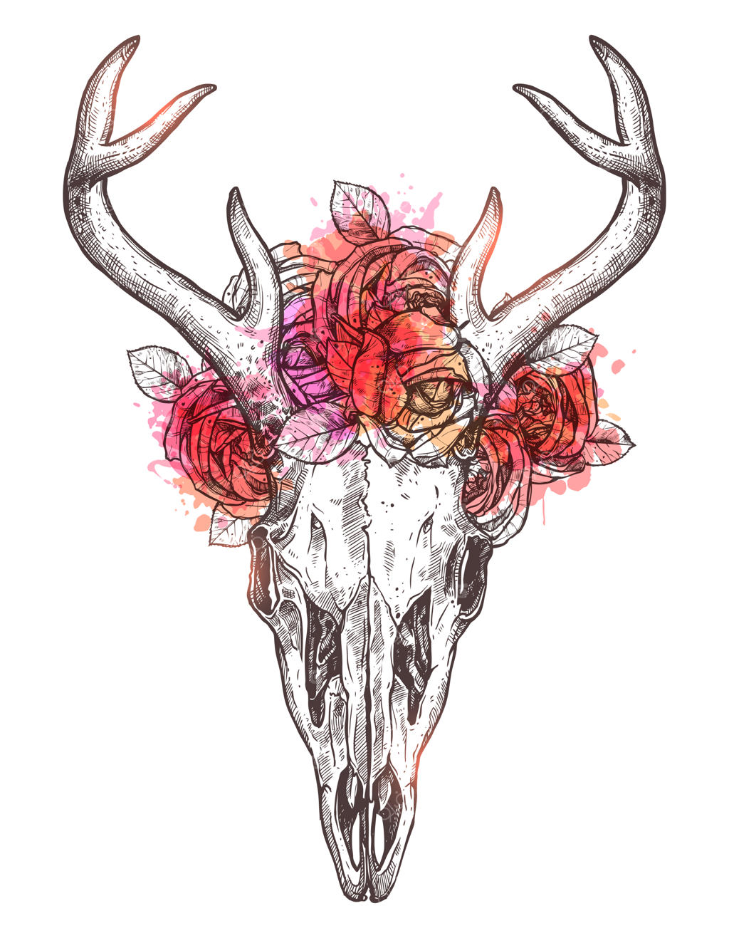 طرح جمجمه گوزن روی پس‌زمینه سفید