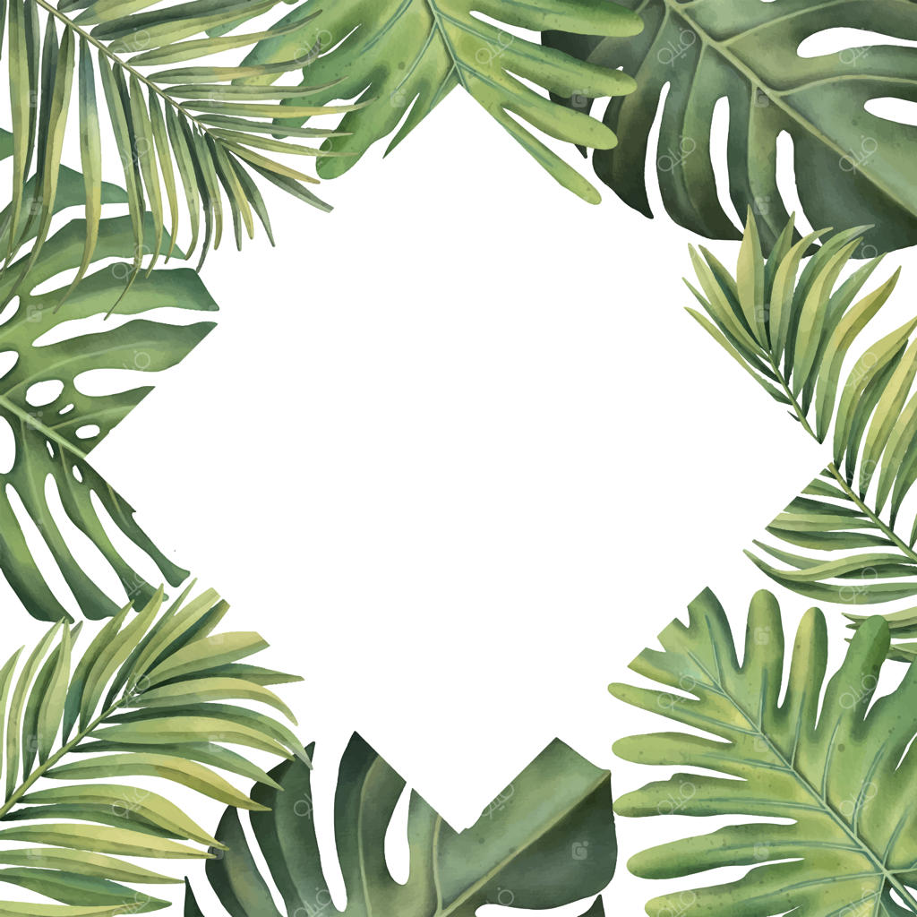 قاب گرمسیری با گیاهان روی پس‌زمینه سفید و برگ‌های نخل نقاشی شده با آبرنگ