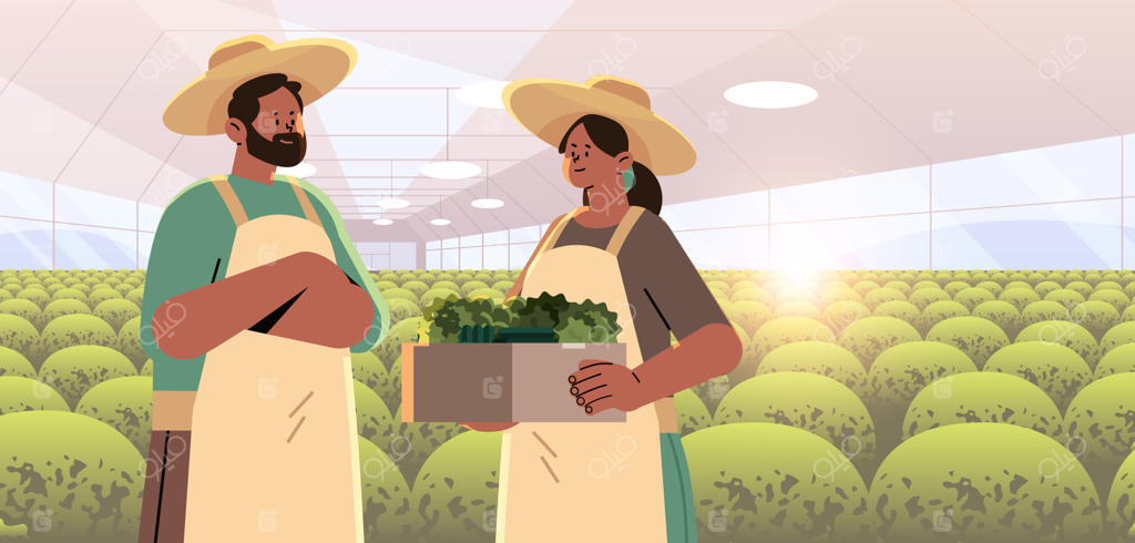کشاورزان با سبدی پر از سبزیجات تازه - جشن روز کارگر مبارک - مفهوم افقی وکتور