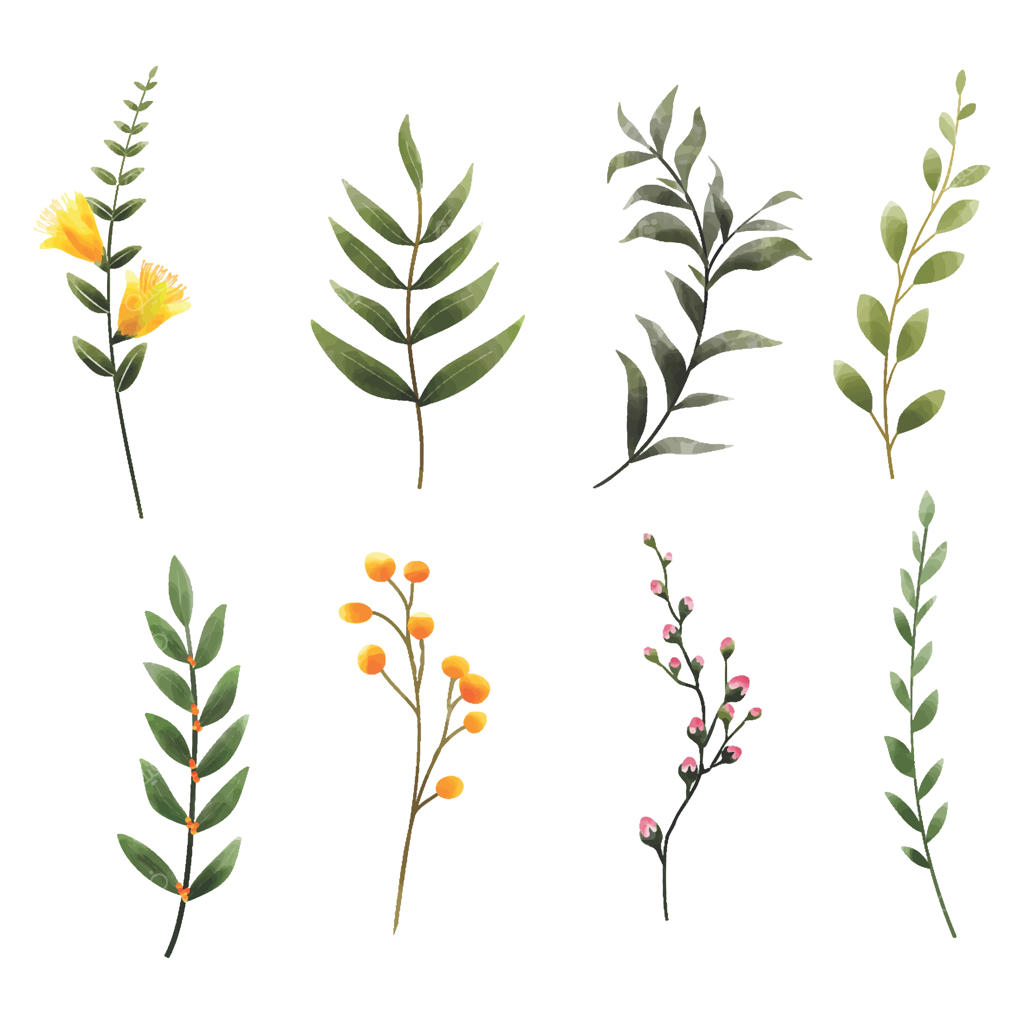 برگ‌ها و گل‌ها به سبک آبرنگ