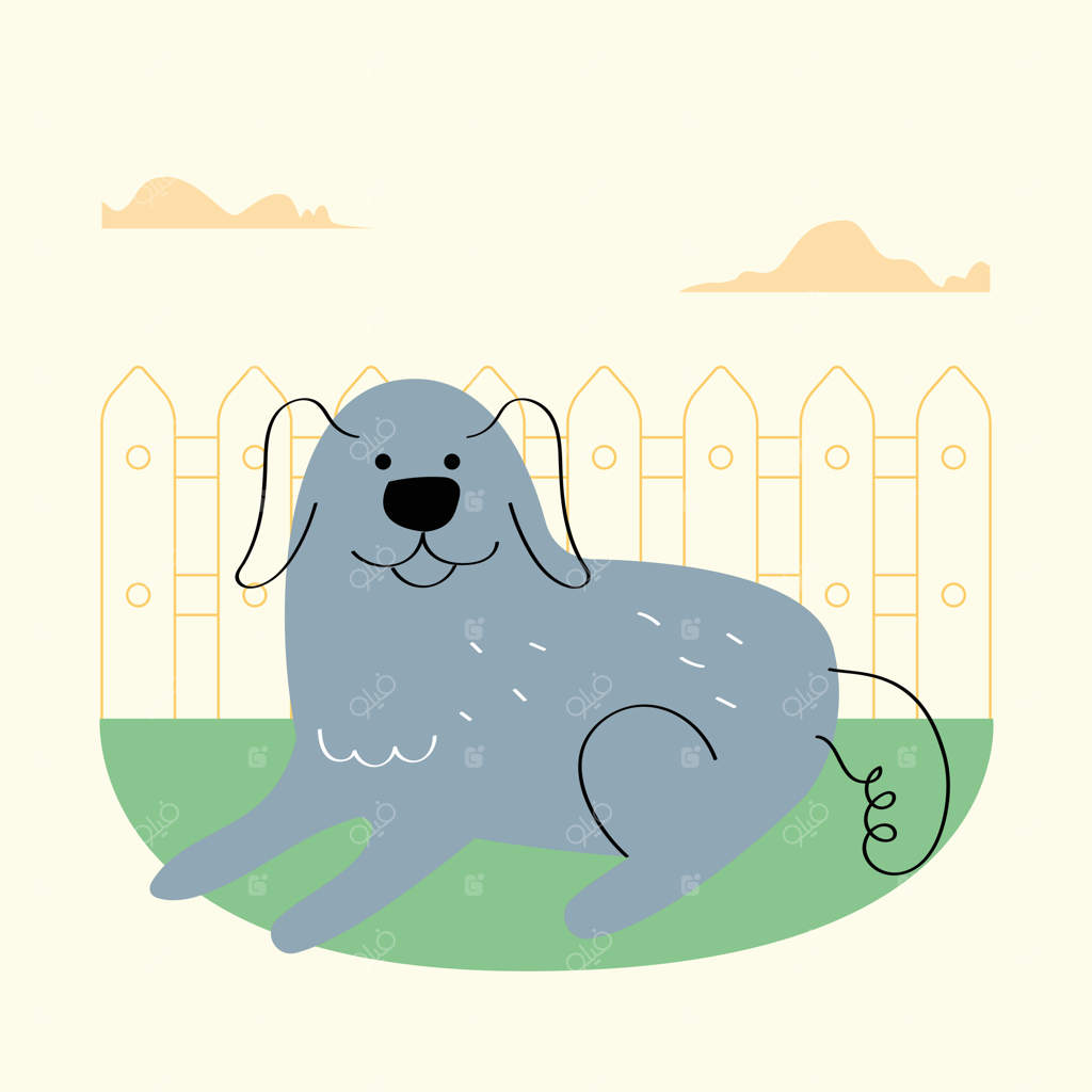 سگ خاکستری دراز کشیده در چمنزار