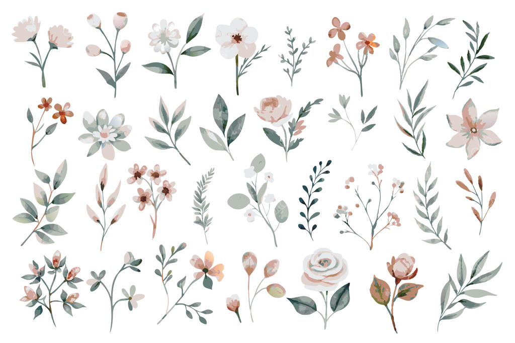 مجموعه المان‌های آبرنگی گل‌های وحشی