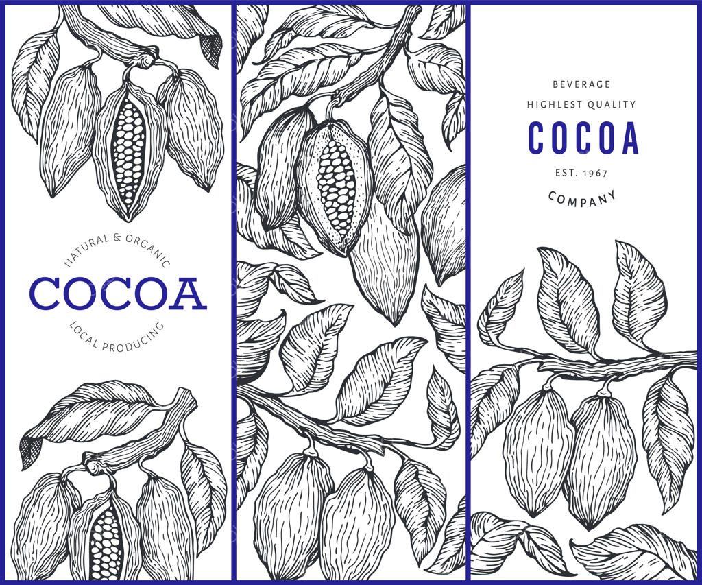 مجموعه بنرهای کاکائویی.