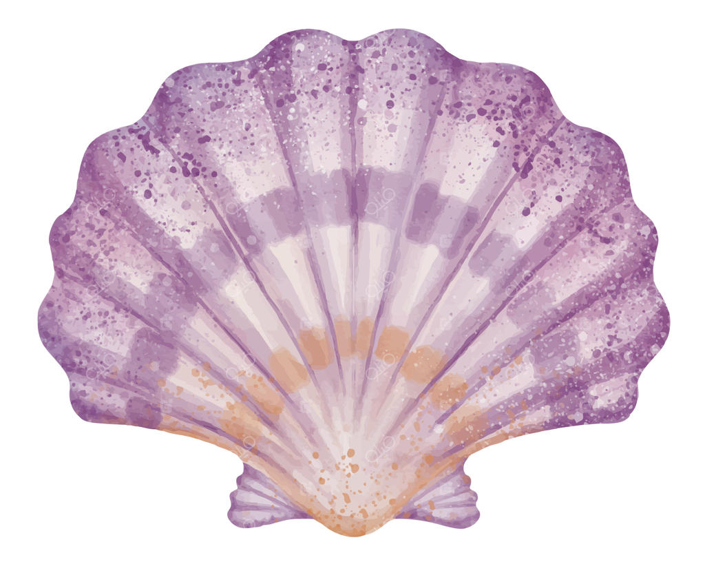 تصویر آبرنگی صدف بنفش برای کارت های تبریک کودکانه یا دعوت‌نامه‌های نوزاد. هنر صدف دریایی برای دکور دیوار اتاق کودک. طراحی گوش‌ماهی در پس‌زمینه‌ای ایزوله. طرح پاستیلی دوکفه‌ای