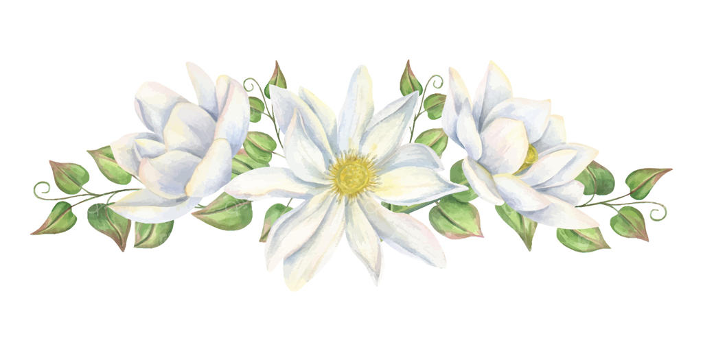 تصویر زیبا از گل سفید آبرنگی برای دکوراسیون وکتور حرفه‌ای
