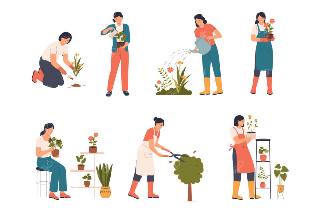 مجموعه تصویرسازی زن در حال کاشت گل