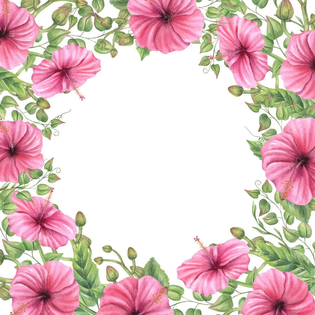 قاب گل زیبای ختمی برای پروژه‌های خلاقانه - وکتور حرفه‌ای