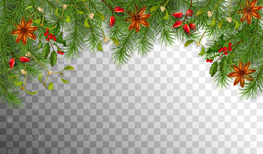 شاخه‌های درخت کاج با تزیینات