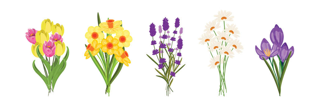 مجموعه‌ای مصور از دسته‌ گل‌های متنوع، مناسب برای مفاهیم باغ و گل‌دار