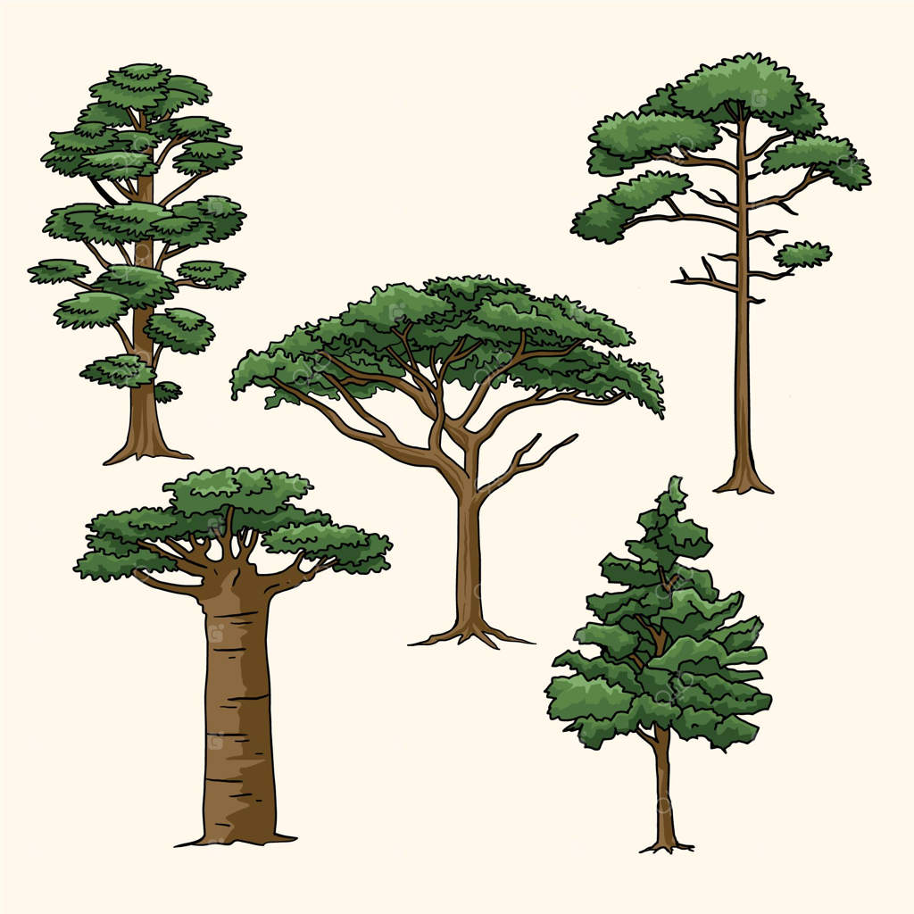 نوع درختان به صورت دستی ترسیم شده