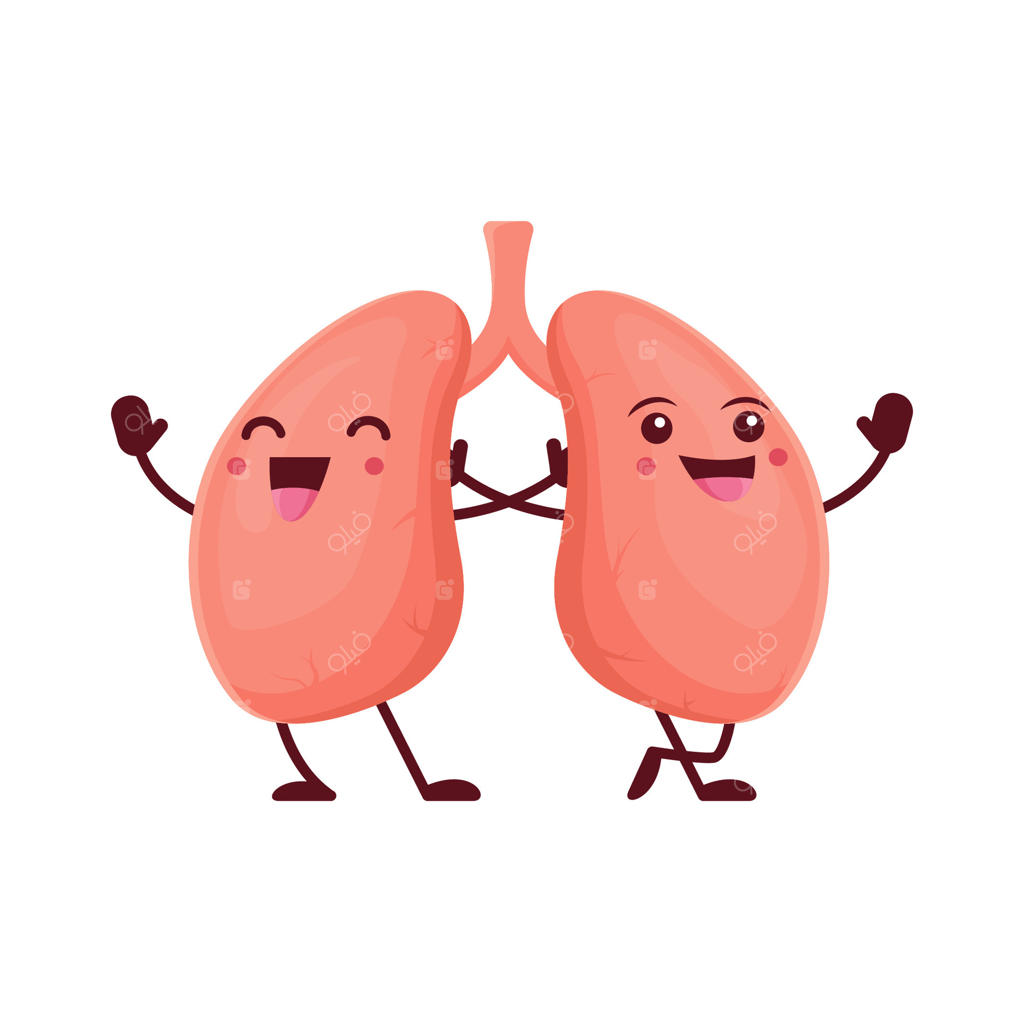 شخصیت کارتونی ریه‌ها - اندام بامزه‌ای از بدن انسان