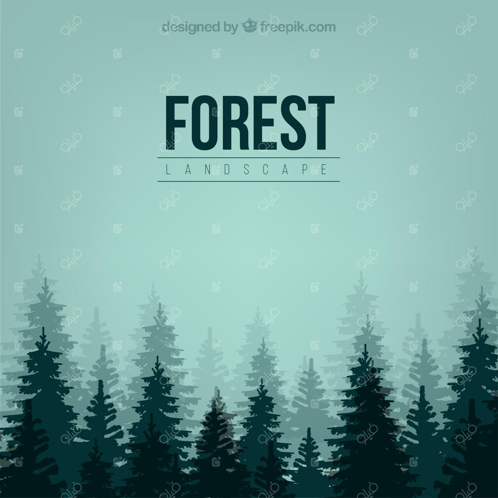 زمینه سایه‌نماهای کاج‌ها