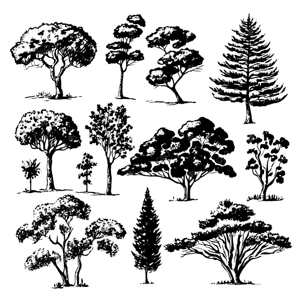 مجموعه درختان طراحی شده با دست