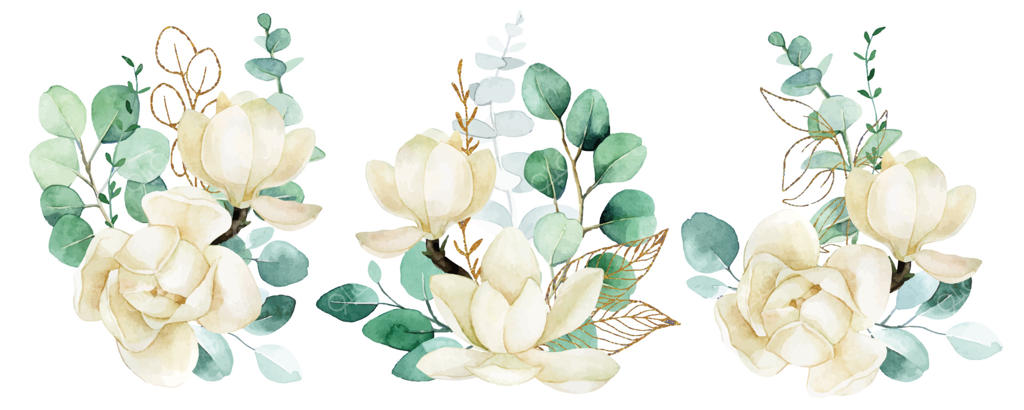 نقاشی آبرنگی: مجموعه‌ای از دسته‌گل‌ها با گل‌های سفید مگنولیا و برگ‌های اکالیپتوس و برگ‌های طلایی همراه با پاشیده‌های رنگ