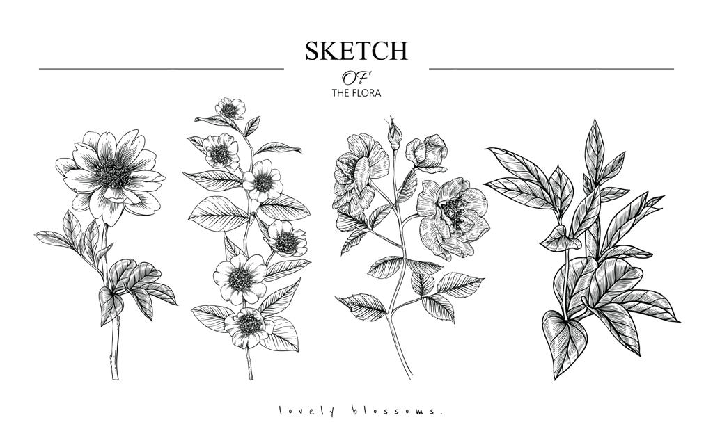 نقاشی‌های زیبا از برگ و گل