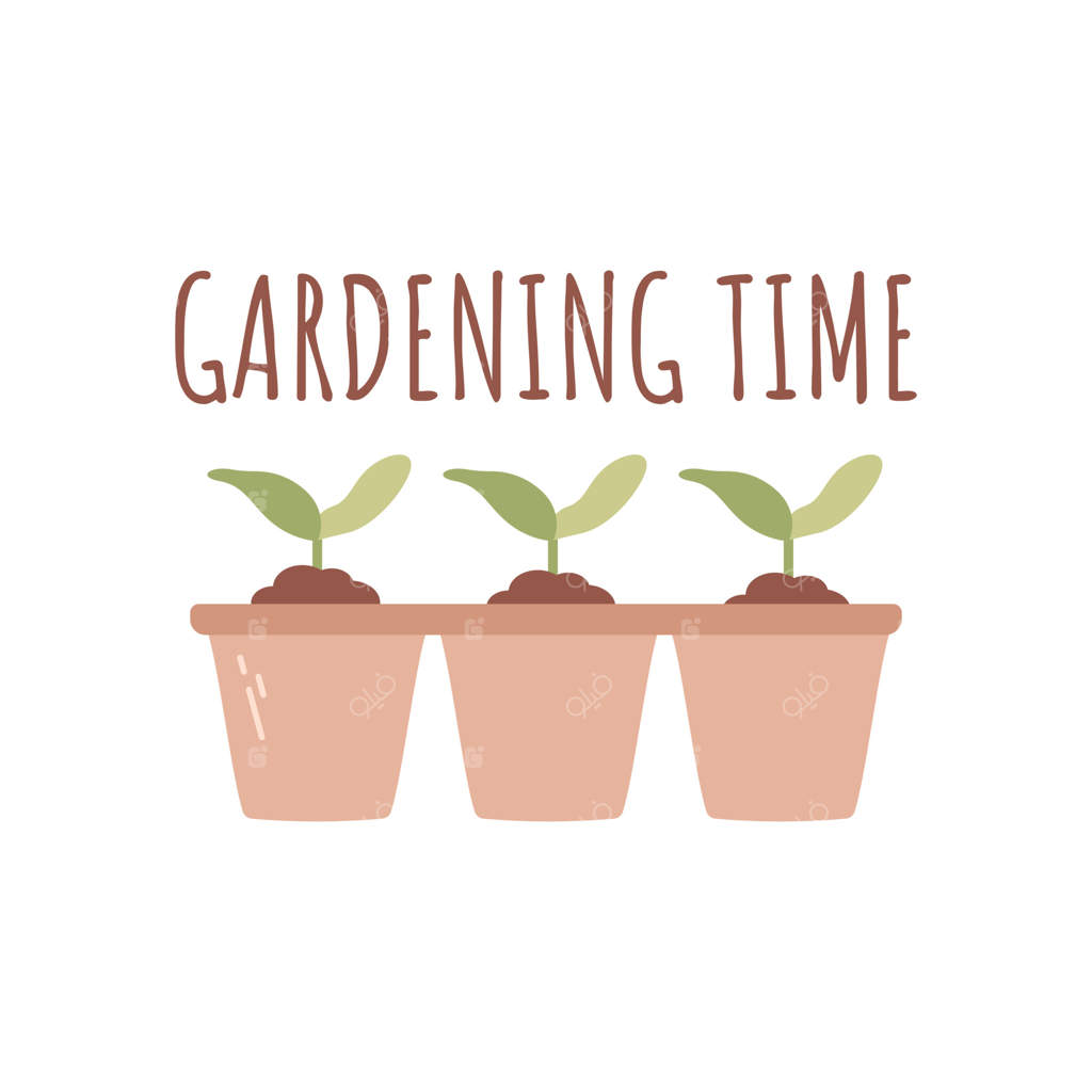 جعبه‌های مقوایی با نهال بر روی زمینه سفید. ابزار و تجهیزات باغبانی. کارهای فصلی باغ. تصویر برداری بهاری.