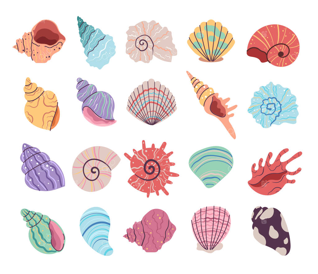 مجموعه‌ای از صدف‌های گوش‌ماهی و صدف‌های صدف‌دار دریایی گرمسیری زیر آب