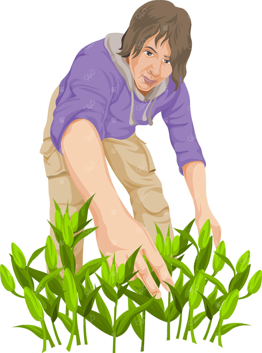 تصویری از مردی در حال چیدن سبزیجات.