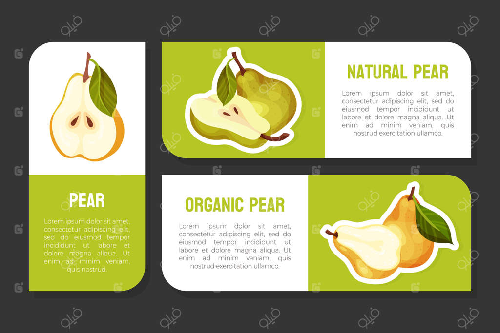 طراحی برچسب میوه گلابی تازه با قالب محصول باغی