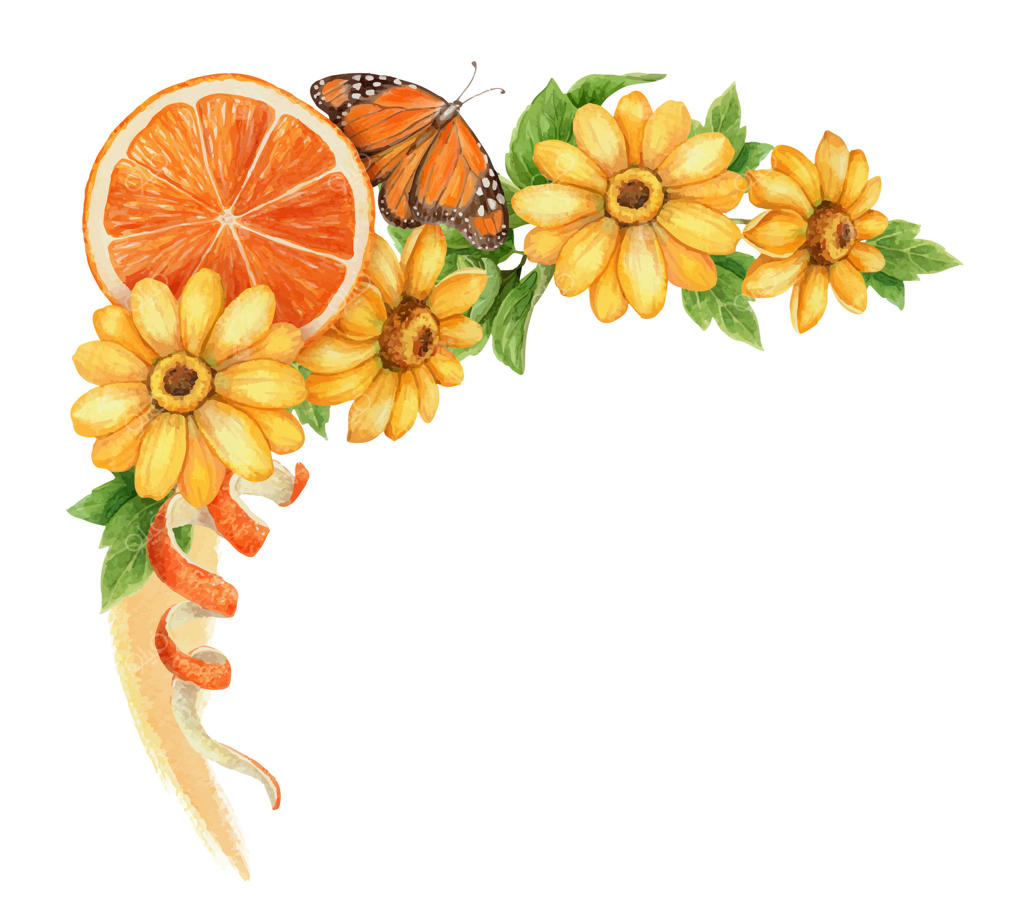 آرایش تابستانی گل زرد هلیانتوس با نارنجی و پروانه. هنر آبرنگی دستی گیاه‌شناسی. عنصر گرافیکی گل برای قالب کارت گیاه‌شناسی و طراحی فصل تعطیلات.