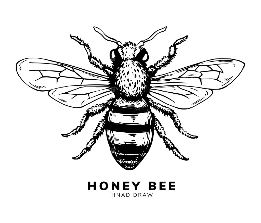 طراحی دستی زنبور عسل