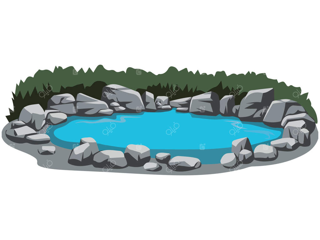 برکه آرام باغ با نیلوفرهای آبی در انزوا