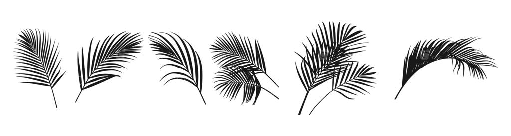 طراحی هنری مجموعه سیلوئت برگ نخل گرمسیری