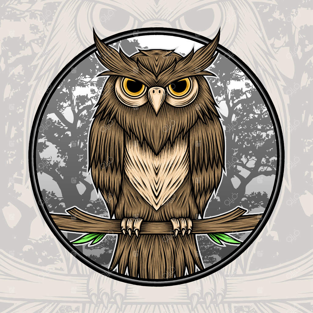 تصویر بوم وحشی در جنگل