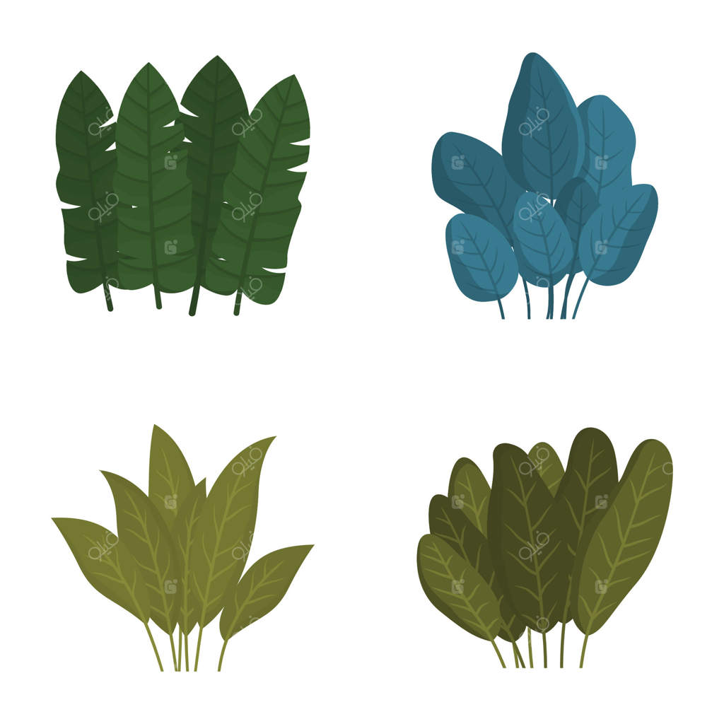 مجموعه‌ای از برگ‌های سبز و تازه گیاهان استوایی در باغ پارک