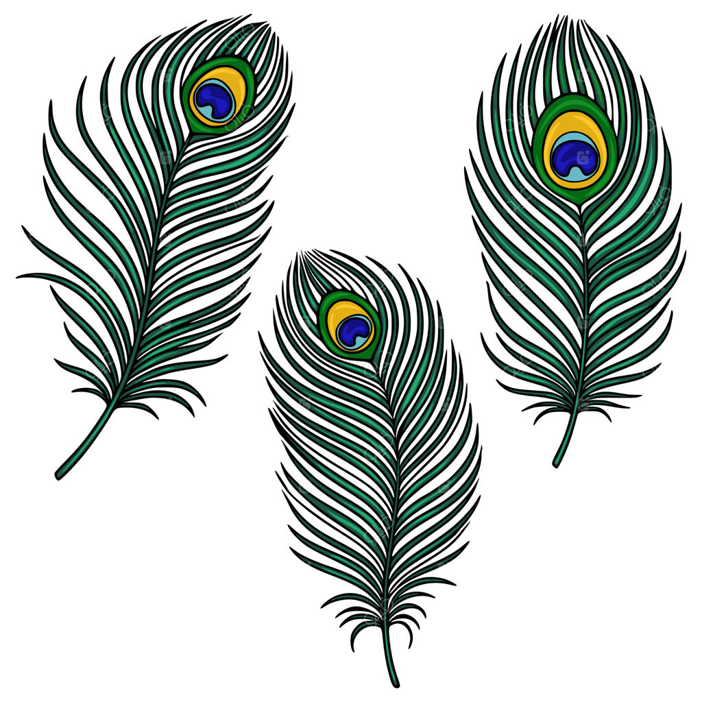 تصویری از سه پر طاووس با جزئیات دقیق، هر یک با رنگ‌های سبز زنده، پترن چشمی چشمگیر و بافتی واقعی، روی زمینه‌ای سفید.