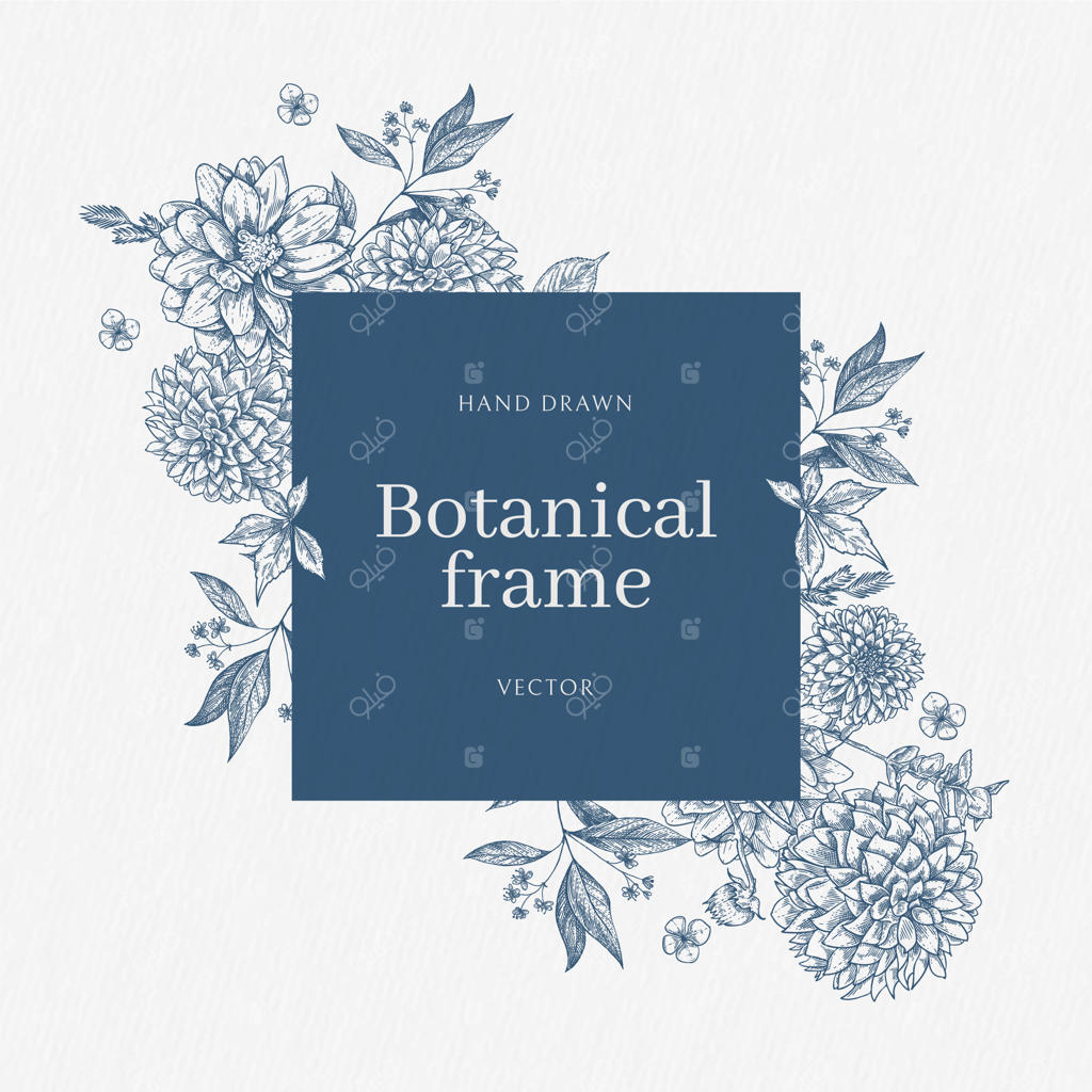 طرح برداری حاشیه گل‌های رز قدیمی و نقاشی گیاه‌شناسی