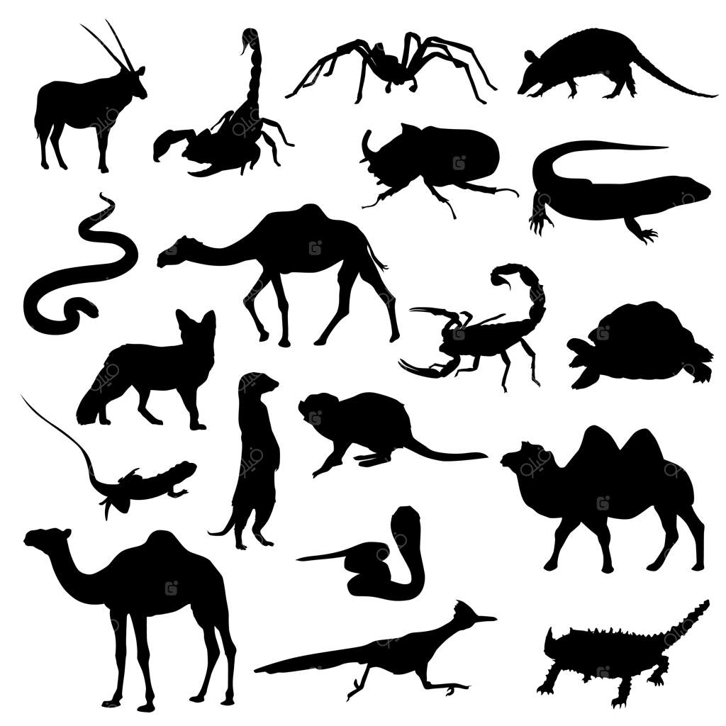 وکتور کلیپ آرت حیوانات صحرایی برای ساخت آلبوم تزئینی