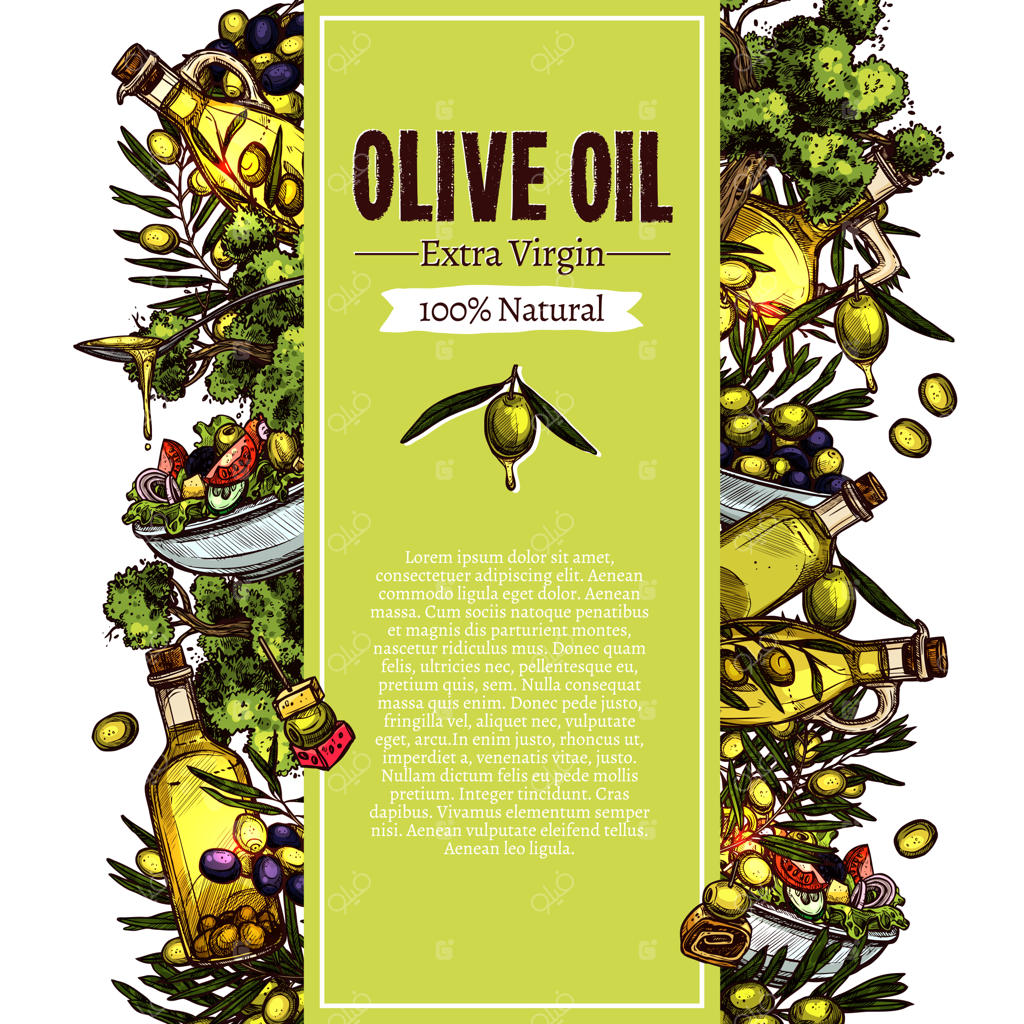 طراحی بنر ترسیمی روغن زیتون