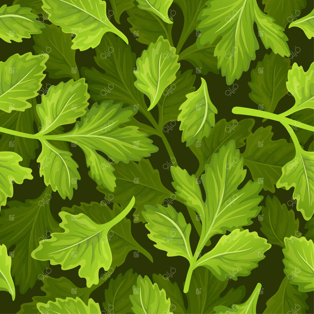 پترن یکپارچه کرفس، جعفری و گشنیز.