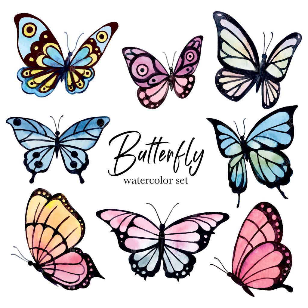 مجموعه طرح‌های آبرنگی پروانه‌های رنگارنگ؛ تصویرسازی وکتور