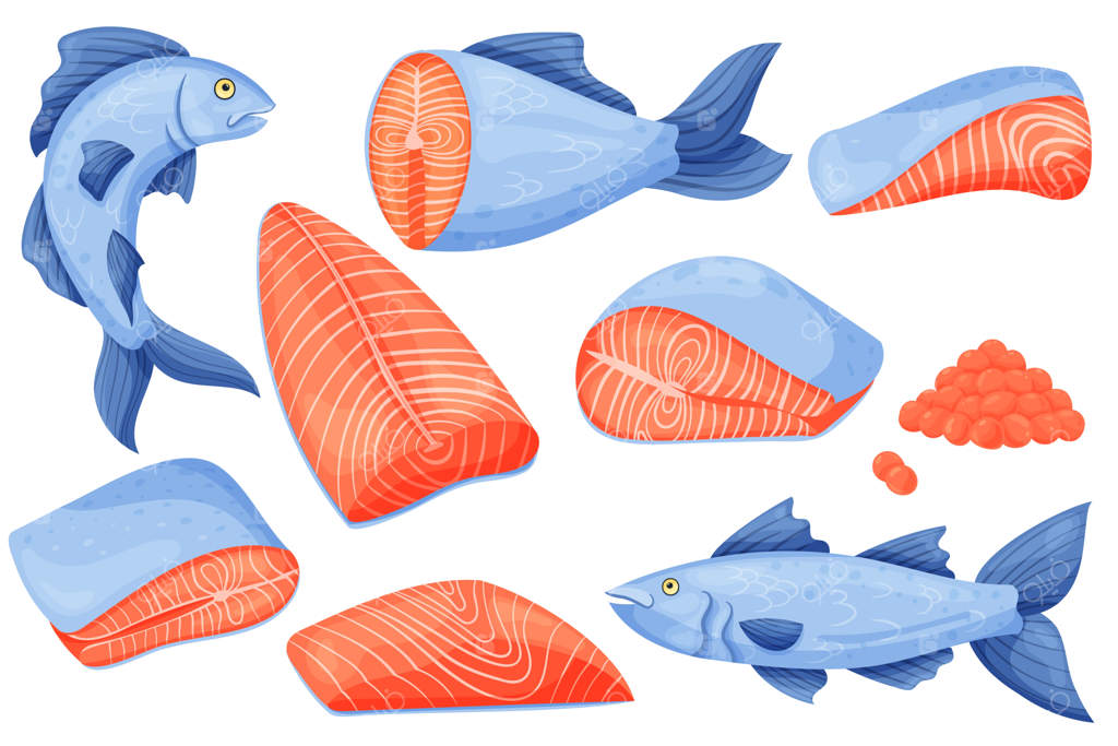 گوشت سالمون - استیک خام کارتونی و فیله تازه سالمون - مجموعه‌ای از مواد غذایی دریایی به صورت وکتور