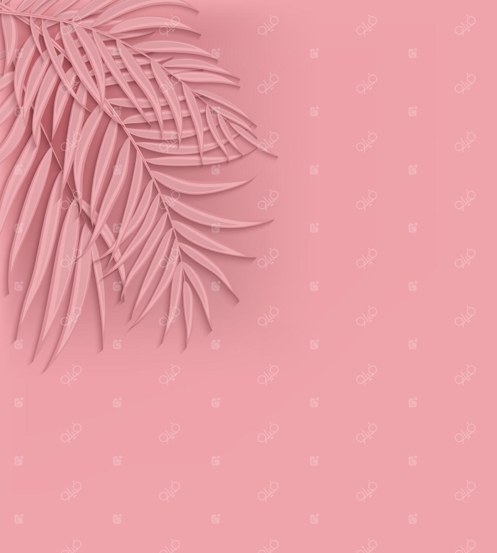 پس‌زمینه سیلوئت زیبا از برگ نخل