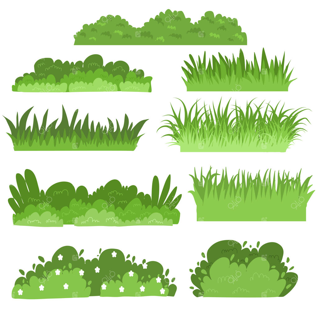 مجموعه تصویرسازی چمن