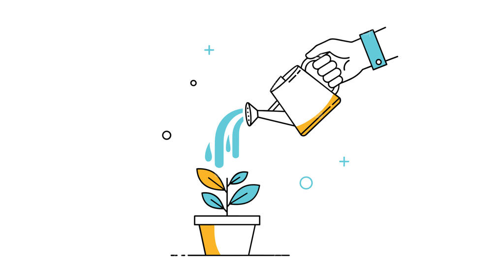 پرورش رشد: آبیاری و مراقبت از گیاه کوچک با دقت و توجه بیشتر