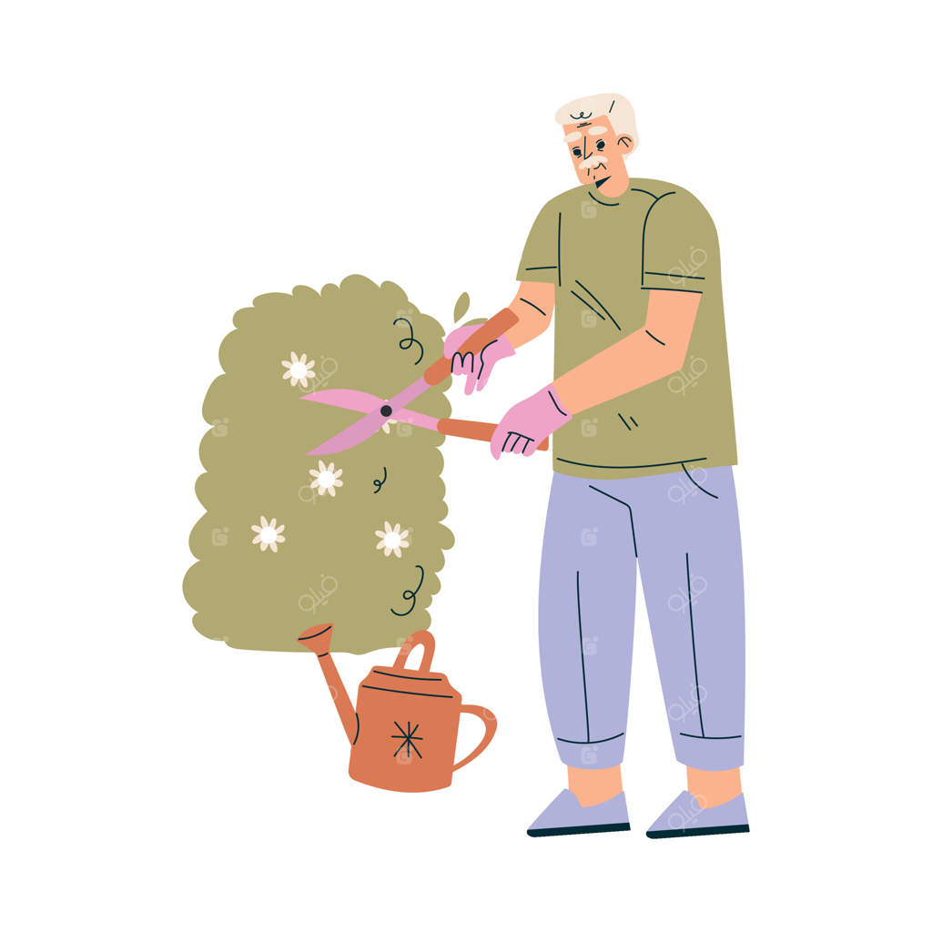 تصویر پیرمرد در حال هرس بوته و کار در باغ