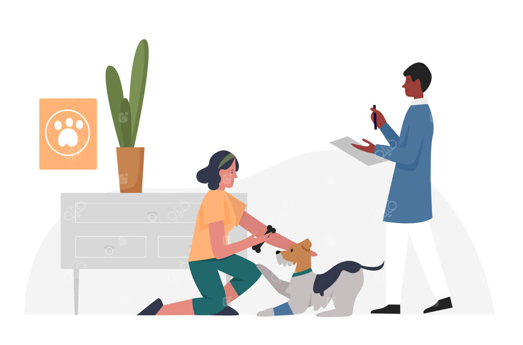 حیوان خانگی در ویزیت دامپزشکی