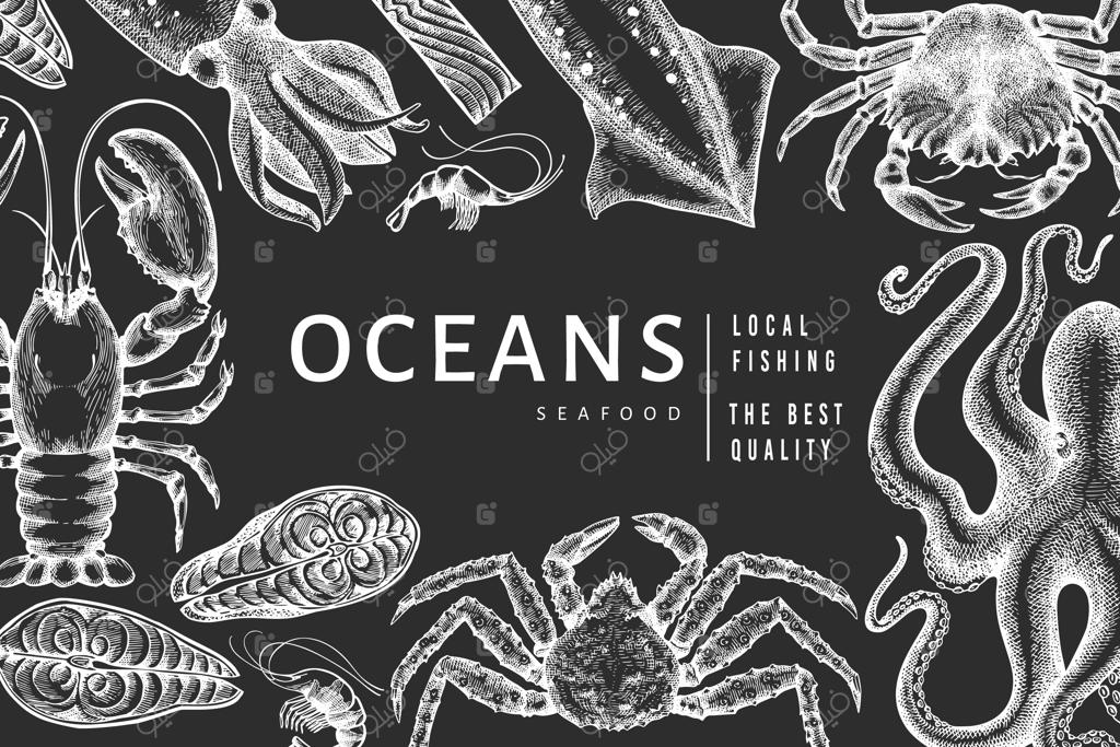 پترن غذاهای دریایی. تصویر دست‌کشیده از غذاهای دریایی روی تخته سیاه. بنر غذایی به سبک حکاکی. پس‌زمینه حیوانات دریایی به سبک قدیمی.